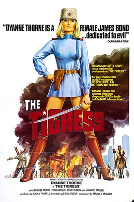 午夜在线观看不下载海报剧照